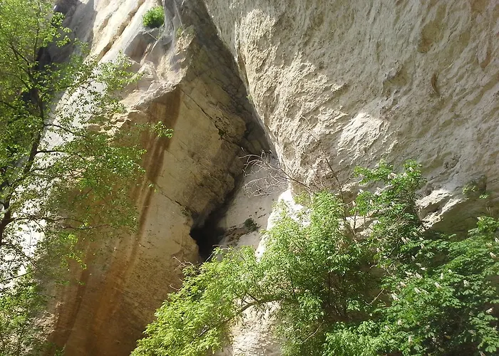 Retro 8 アパート ドブリチ