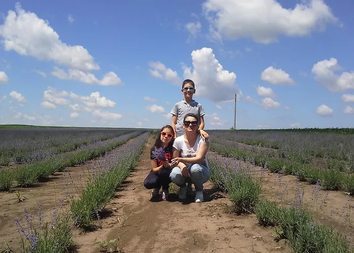 アパート Retro 8